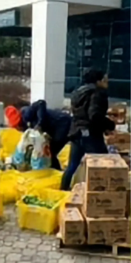 Groceries ready for pickup at a community giveaway